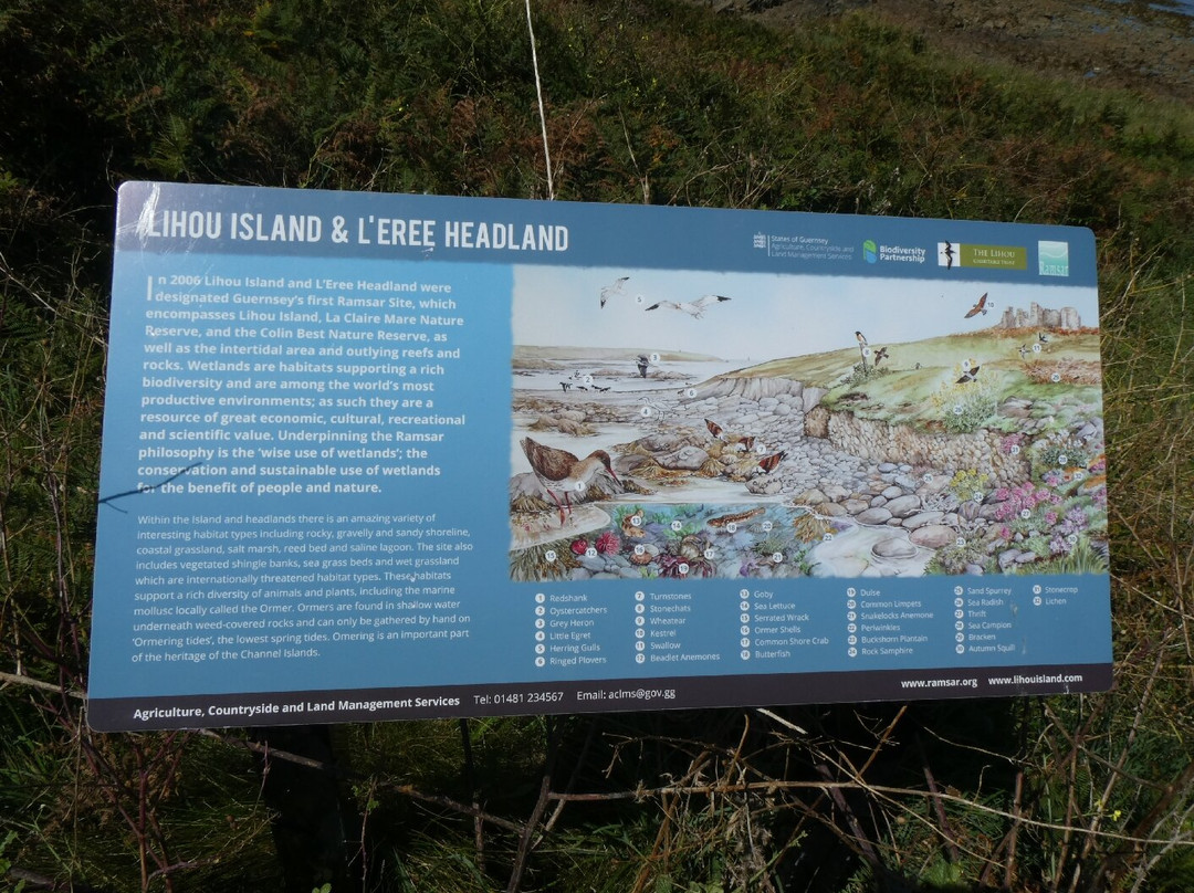 Lihou Island Nature Reserve景点图片
