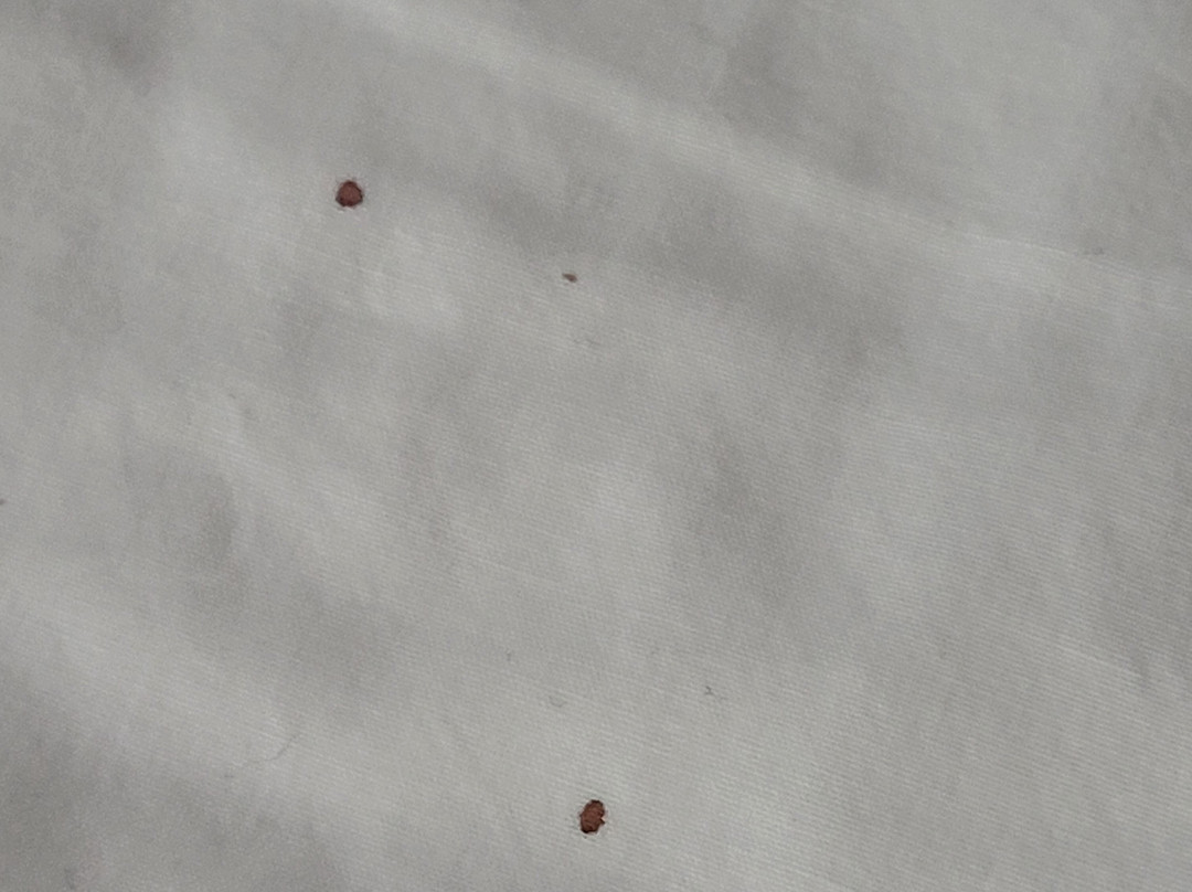 Country Inn & Suites by Radisson, Goodlettsville, TN主图