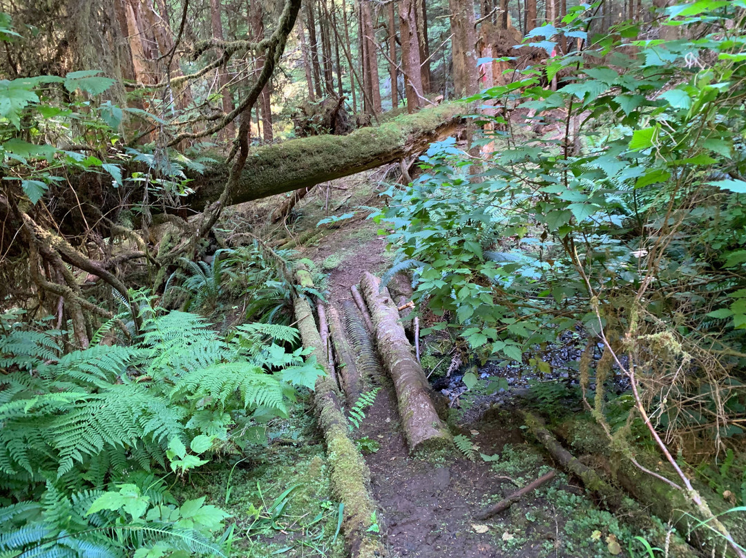 Regier Lake Trail-Daajing Giids必去景点