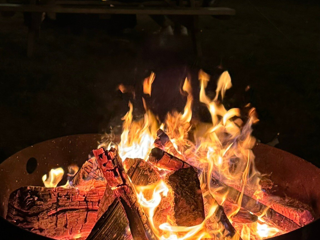 La Belle De Coteau-du-lac