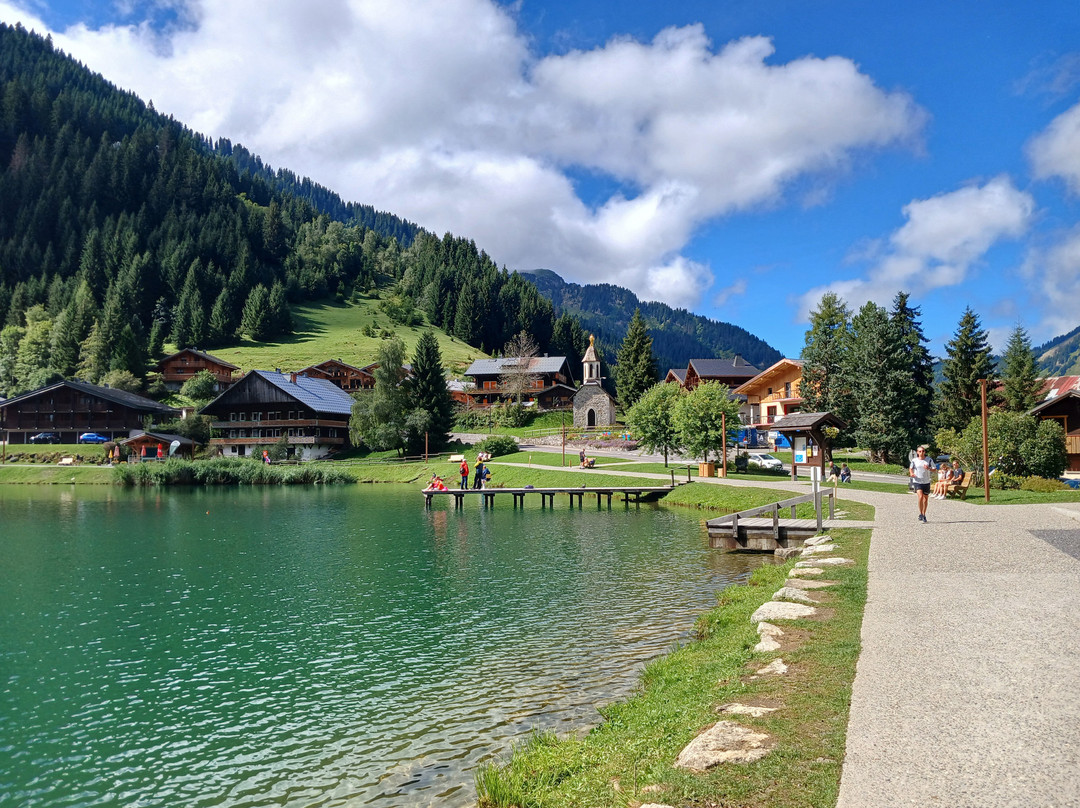 Lac De Vonnes景点图片