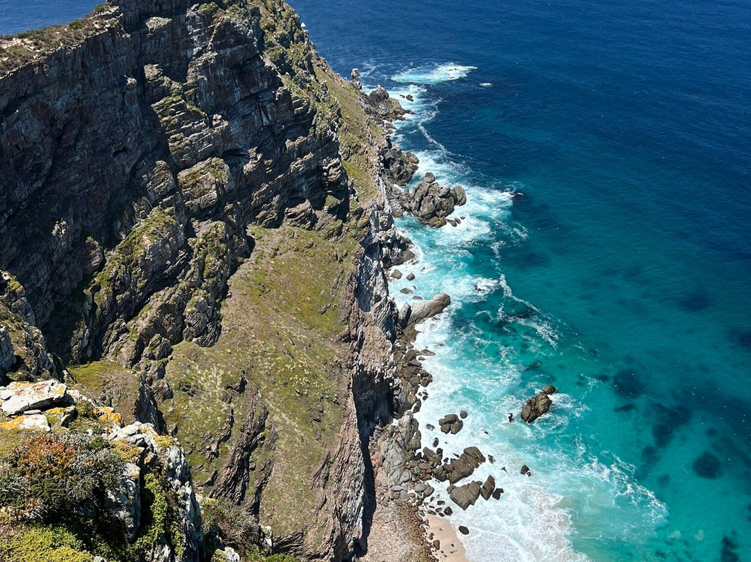 Escape to the Cape Sightseeing Tours景点图片