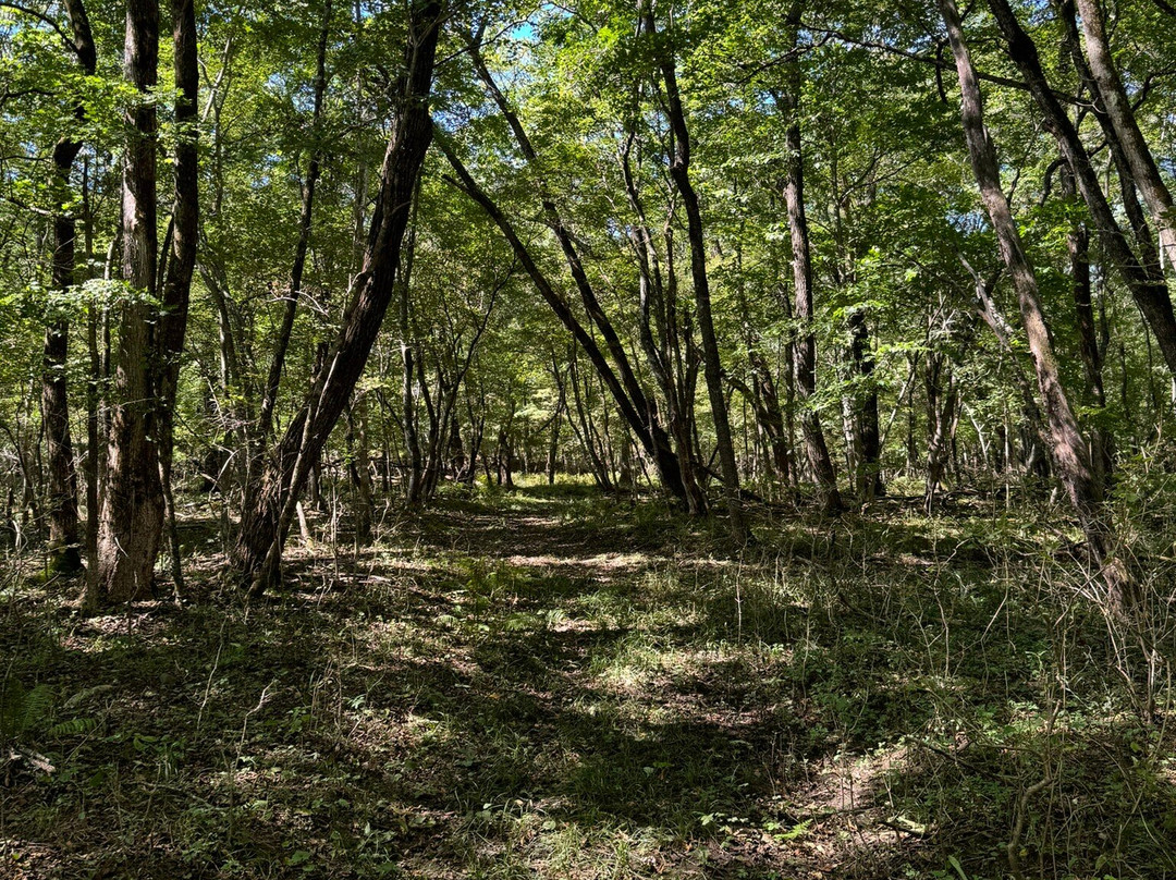 National Park Land of the Leopard-海参崴必去景点