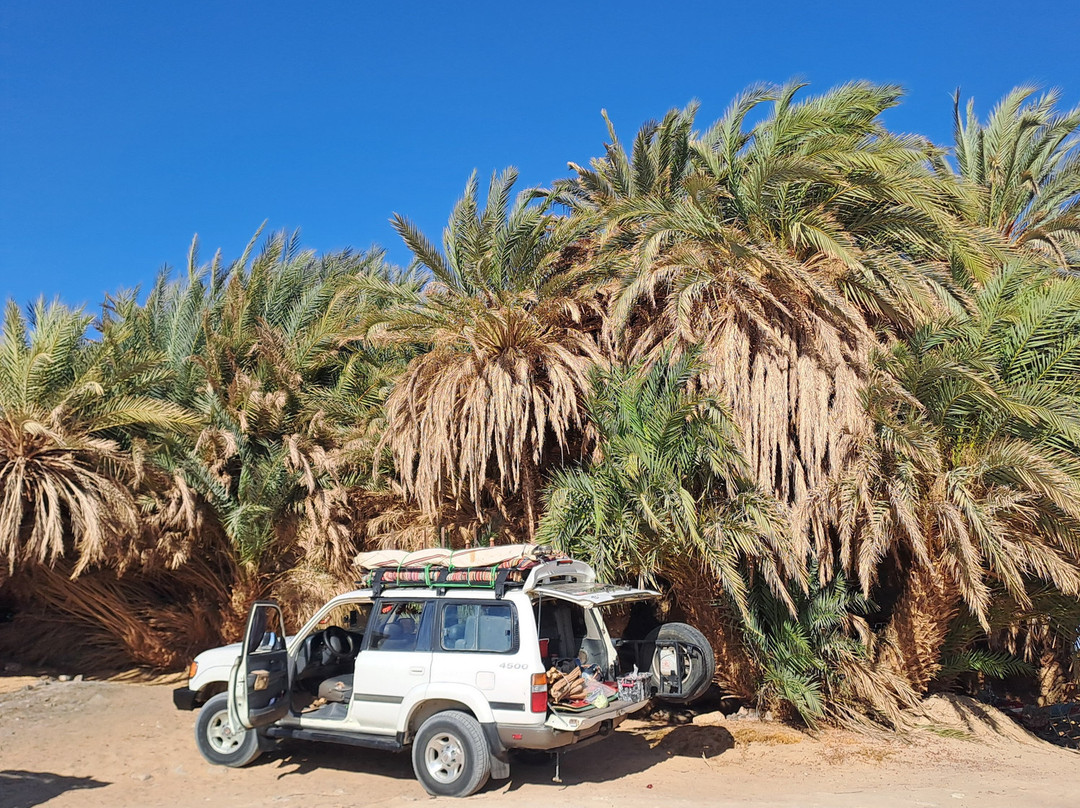 White Desert Safari景点图片