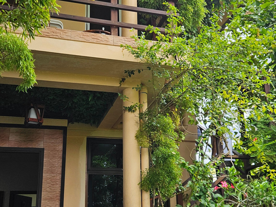 Daisy Cottage - Dhangethi主图