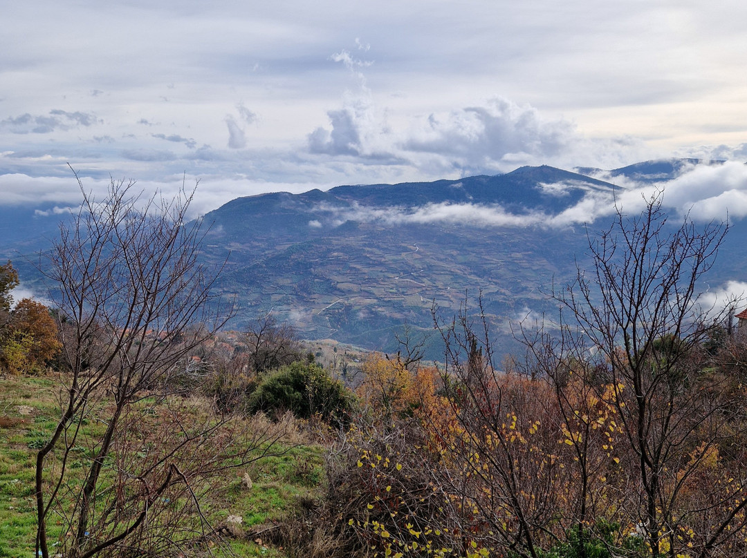 Levanta Guesthouse主图