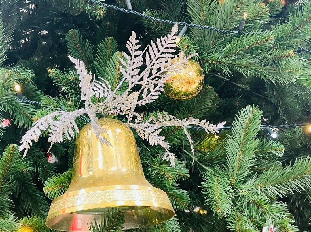 Gippsland Centre-塞尔必去景点