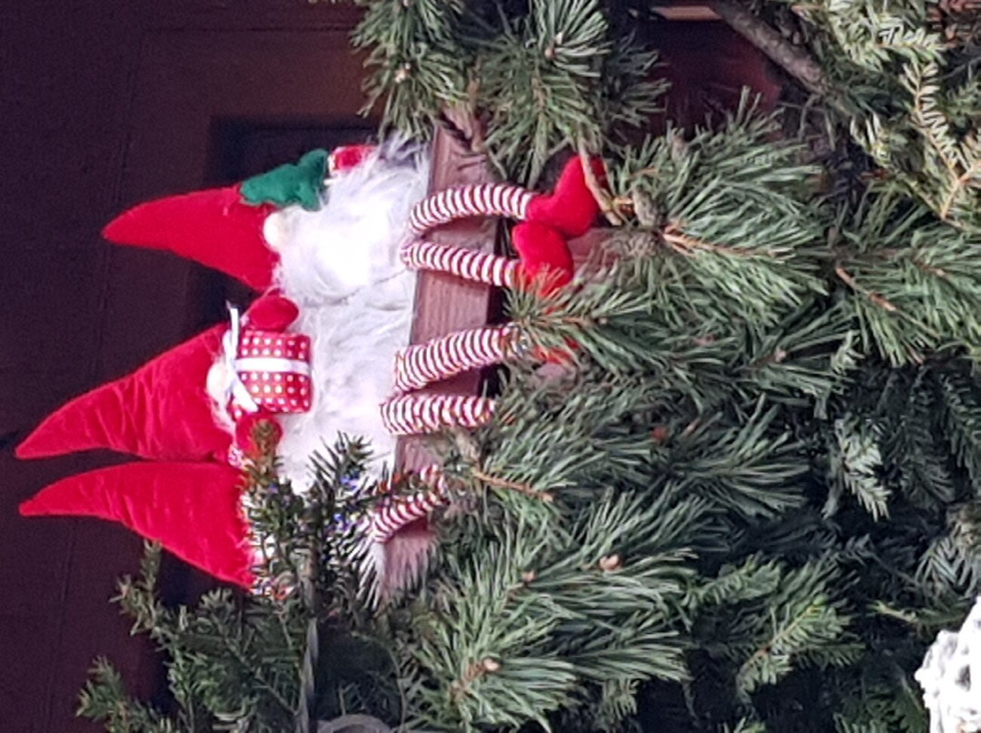 Hotel Auberge du Melkerhof主图