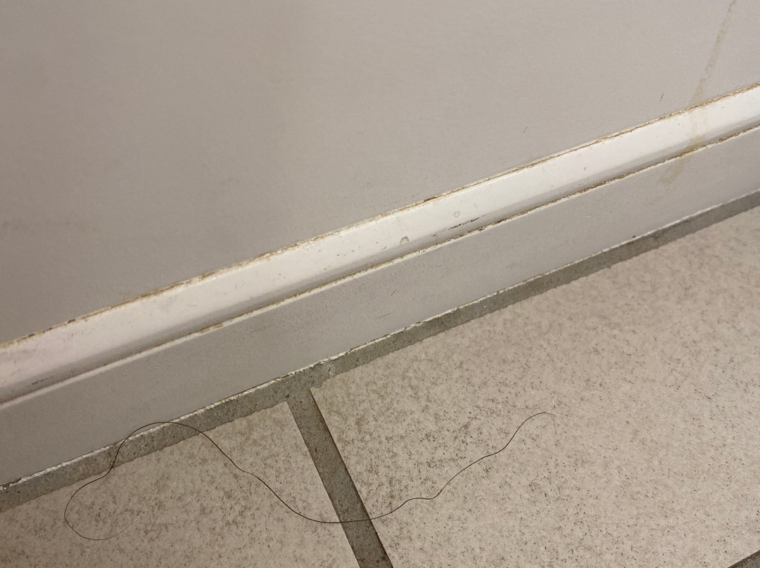 Holiday Inn Express & Suites Trinidad By IHG主图