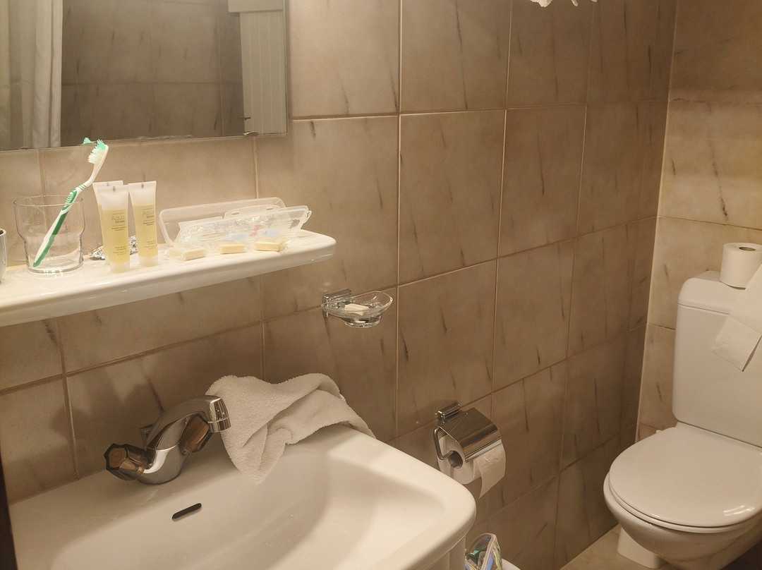 Hotel de la Foret主图