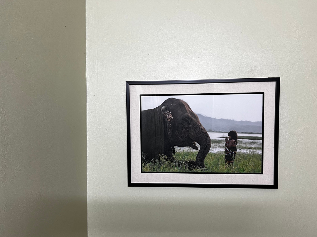 Réhahn Gallery-胡志明市必去景点