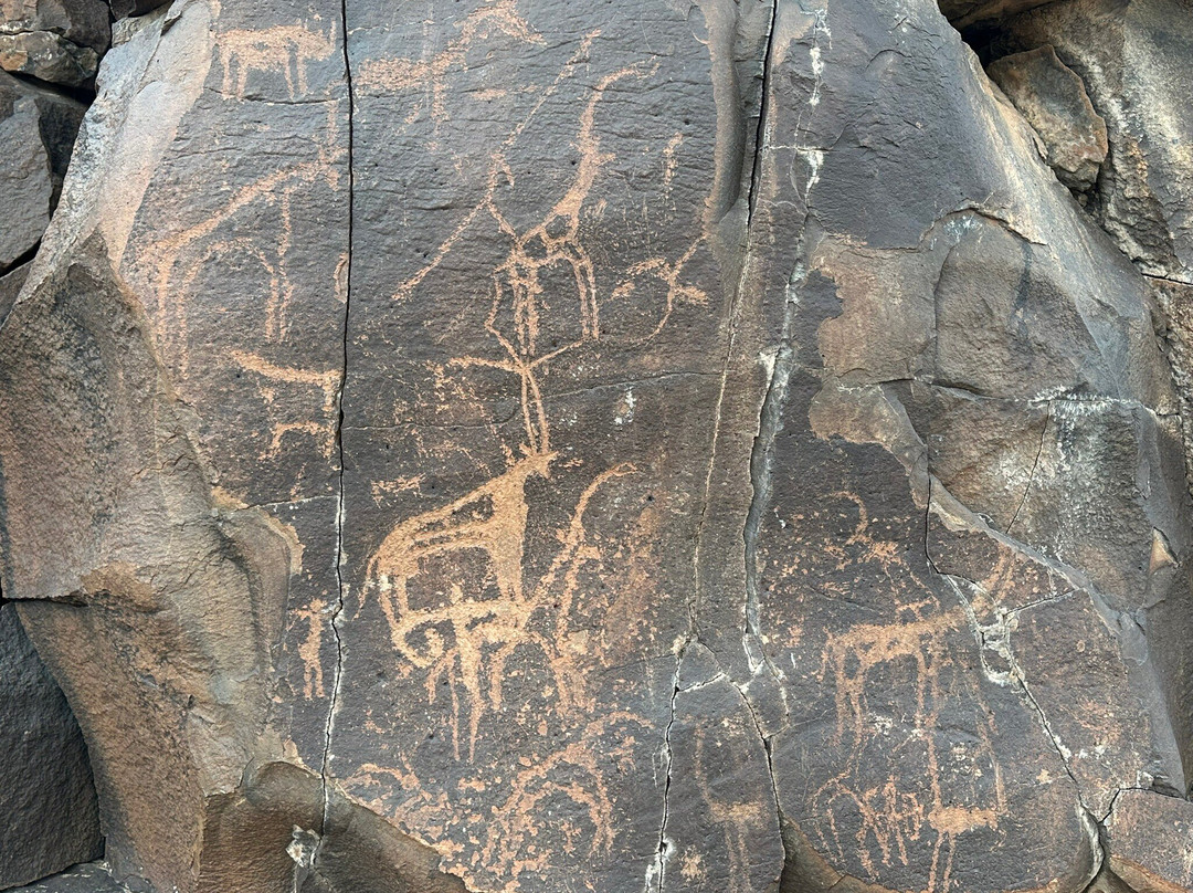 Day Forest National Park-吉布地必去景点