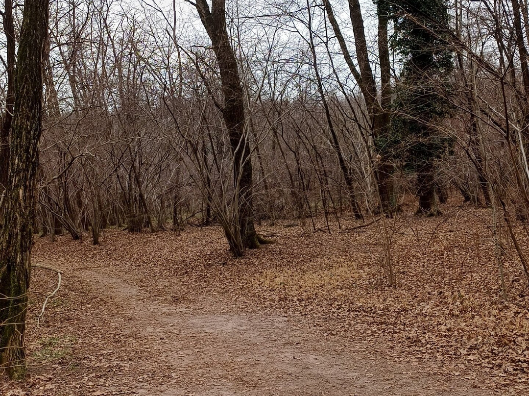 Il Parco dei Lagoni di Mercurago景点图片