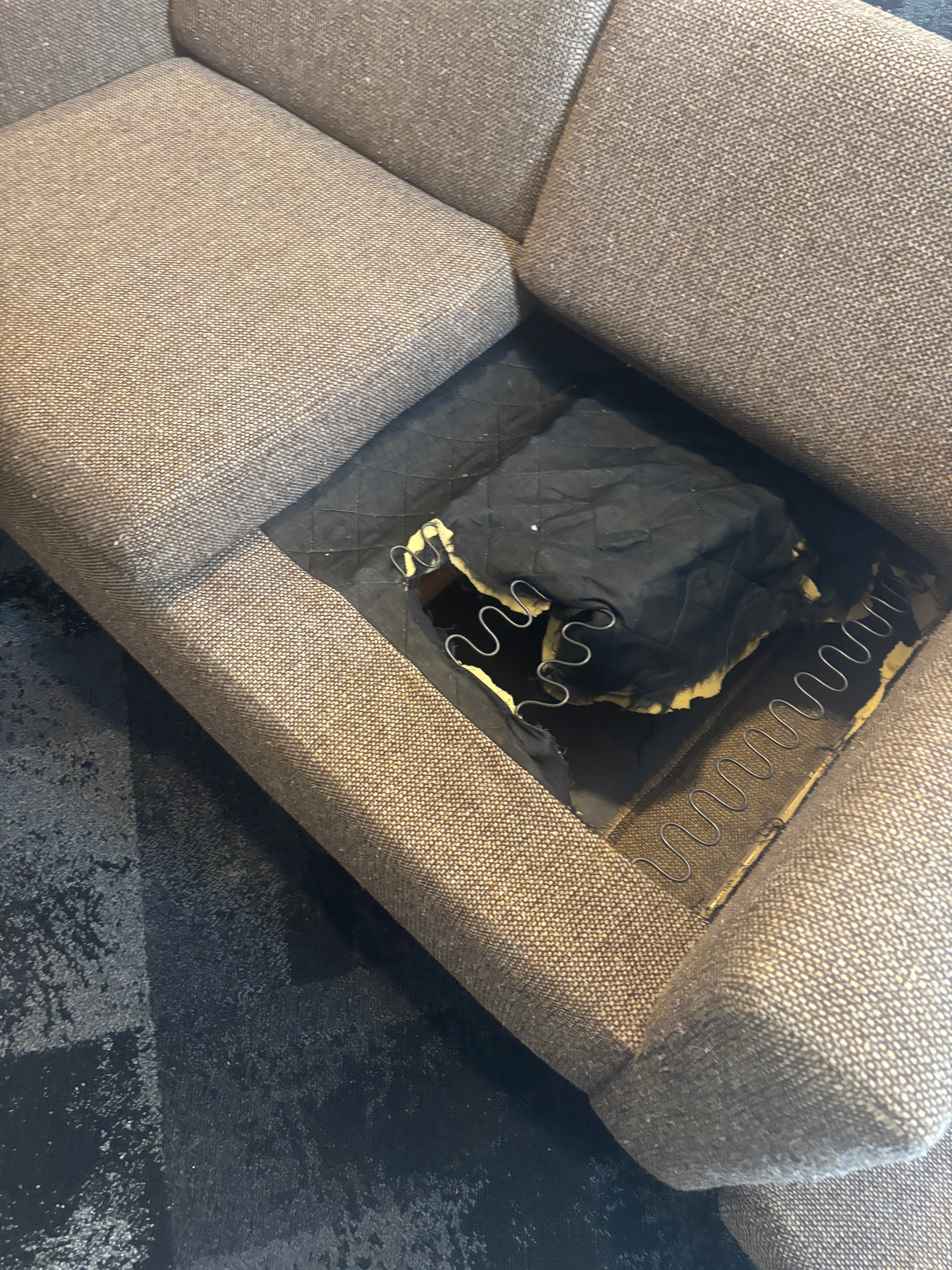 最佳西方嗨盖特汽车旅馆-官方