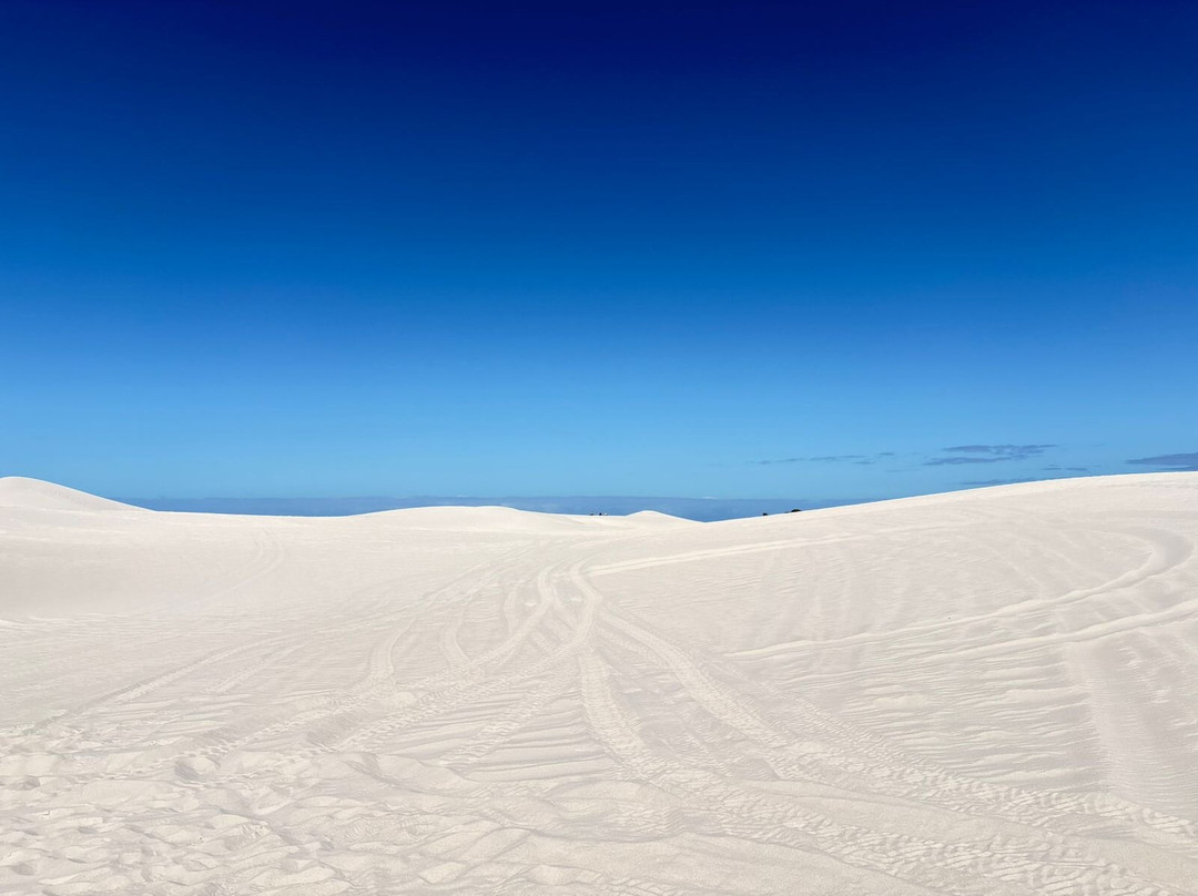 WildX Adventures Atlantis White Sand Dunes-开普敦中心区必去景点