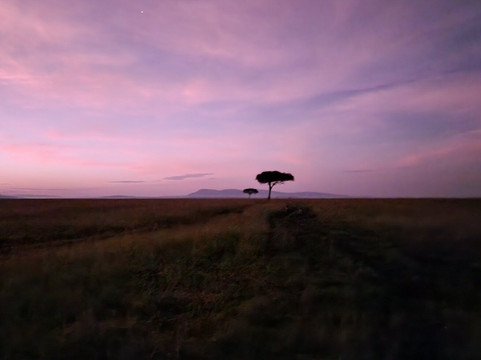 Aramati Safaris-内罗毕必去景点