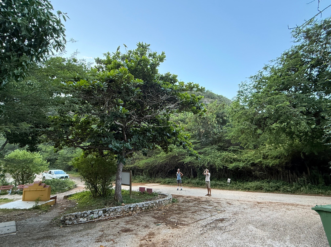 HopiBonaire-Bonaire必去景点