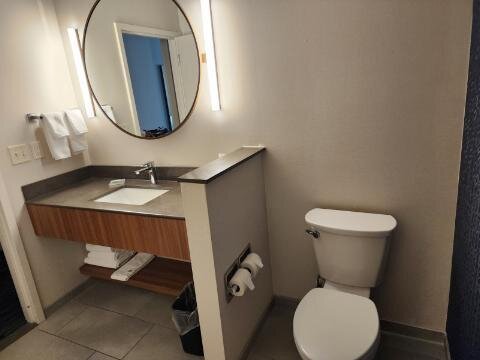 Fairfield by Marriott Inn & Suites Stony Creek-浴室