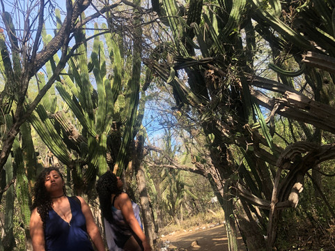 Cactus Sanctuary-El Triunfo必去景点