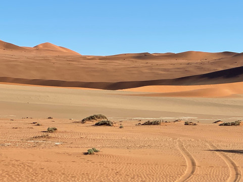 Elikya Safaris Tour-温德和克必去景点