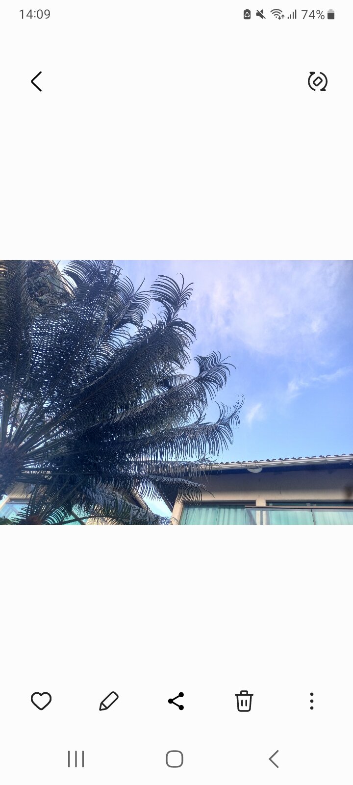 Namoa Pousada e Turismo-泳池