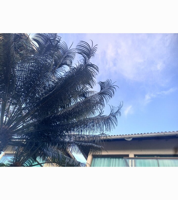 Namoa Pousada e Turismo主图