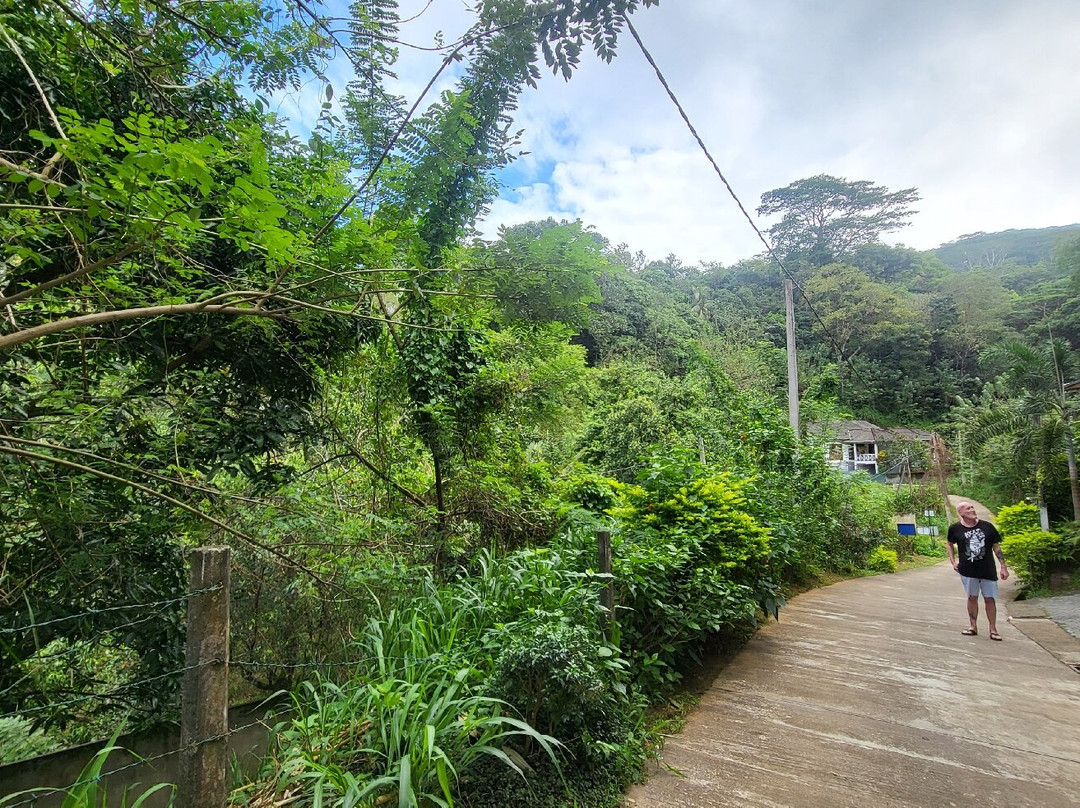 Green Heaven Resort主图