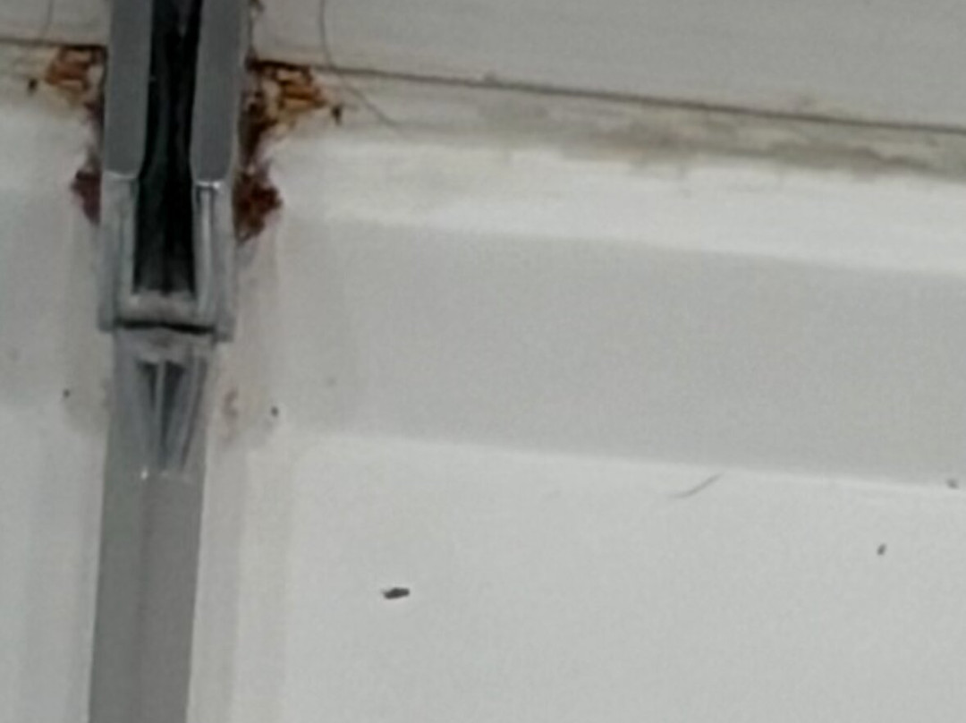 Holiday Inn Express & Suites Kinston By IHG主图