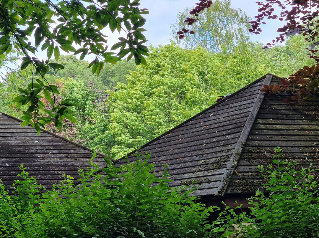 Bois des Rêves景点图片
