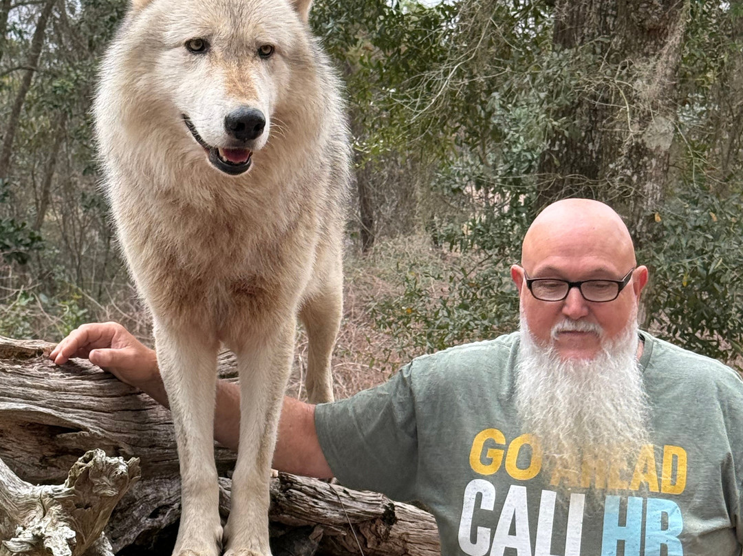 Seacrest Wolf Preserve景点图片
