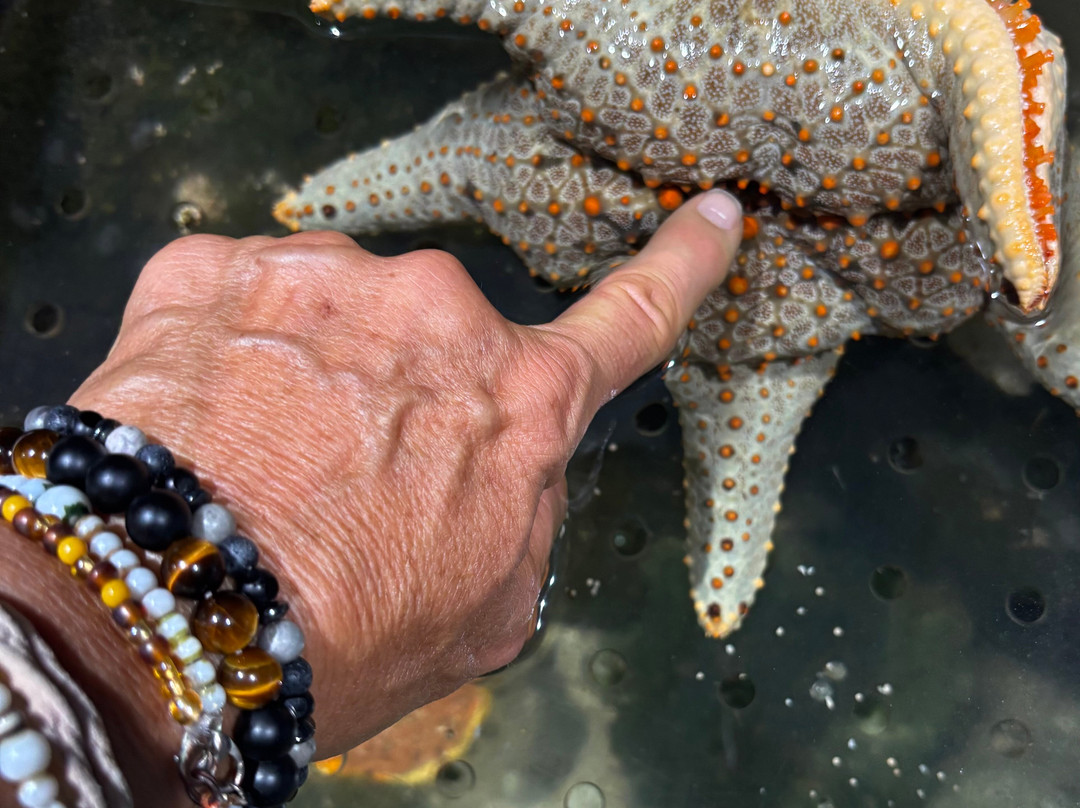 Cairns Aquarium-凯恩斯必去景点
