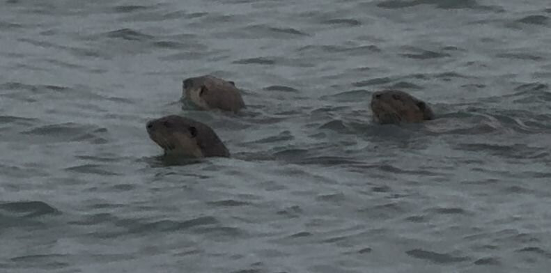 绿中海度假村主图