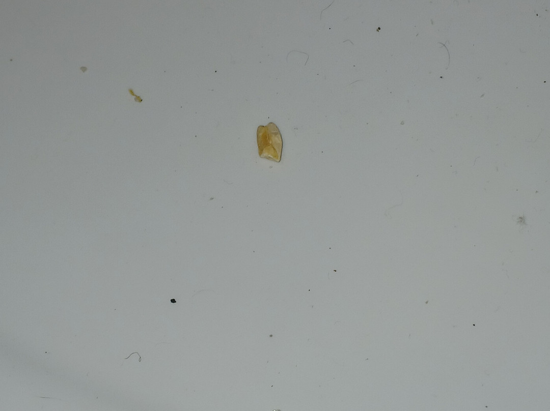 Red Roof PLUS+ Columbus Dublin主图