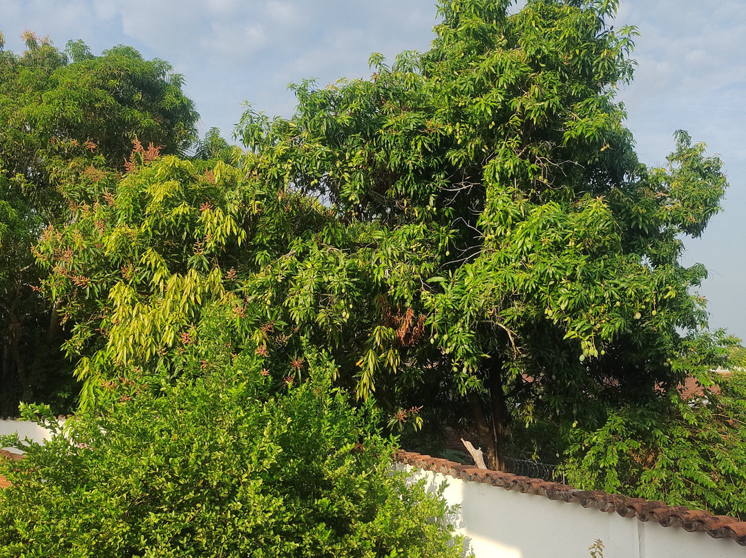 Casa Verde Albarrada主图