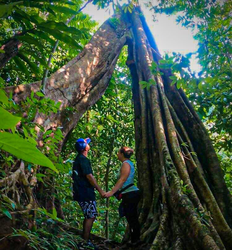 Refugio Mr Jerry Ecohouse主图