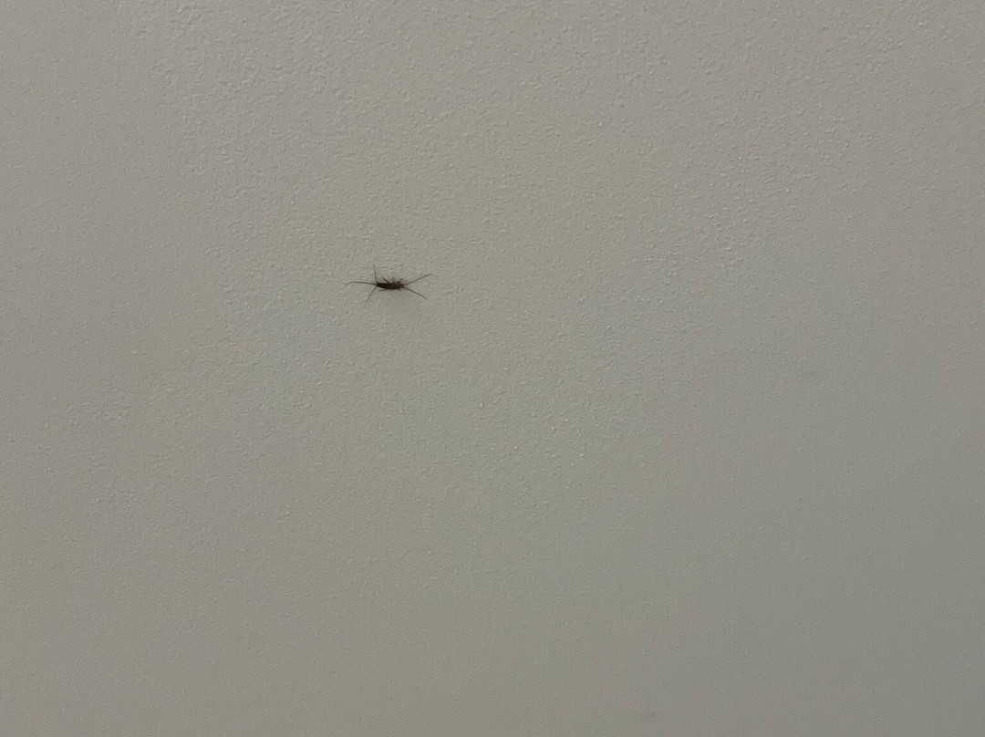 Holiday Inn Express & Suites La Grange - Louisville Area Ne By IHG主图