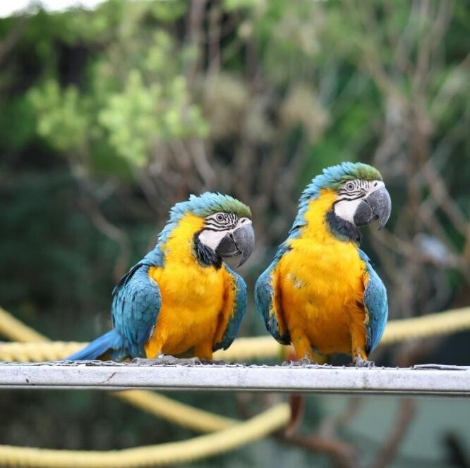 Camel Valley Resort, Igatpuri主图