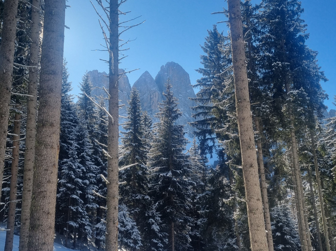 卡比斯酒店主图