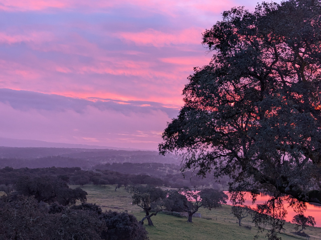 蒙韦柳度假酒店主图