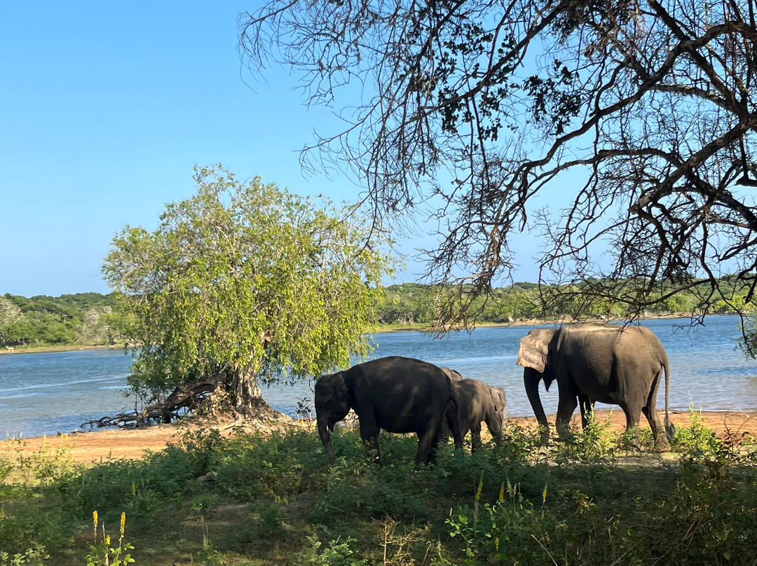 Southern Wild Safari-蒂瑟默哈拉默必去景点
