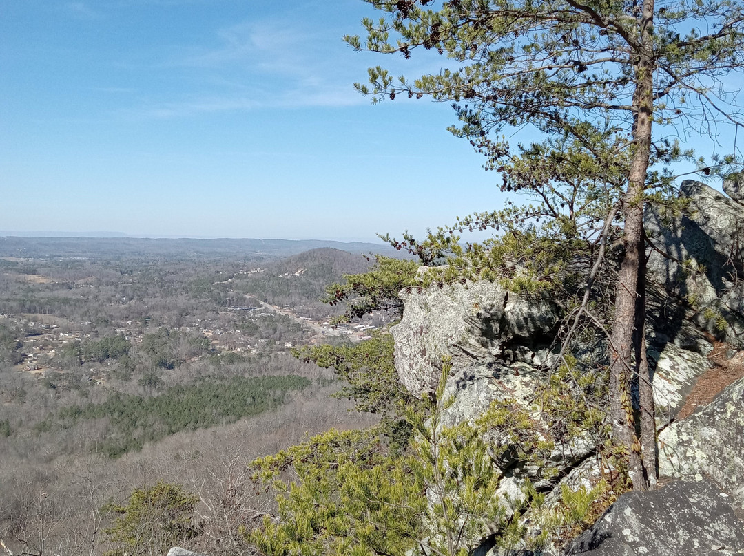 George W. Disney Trail