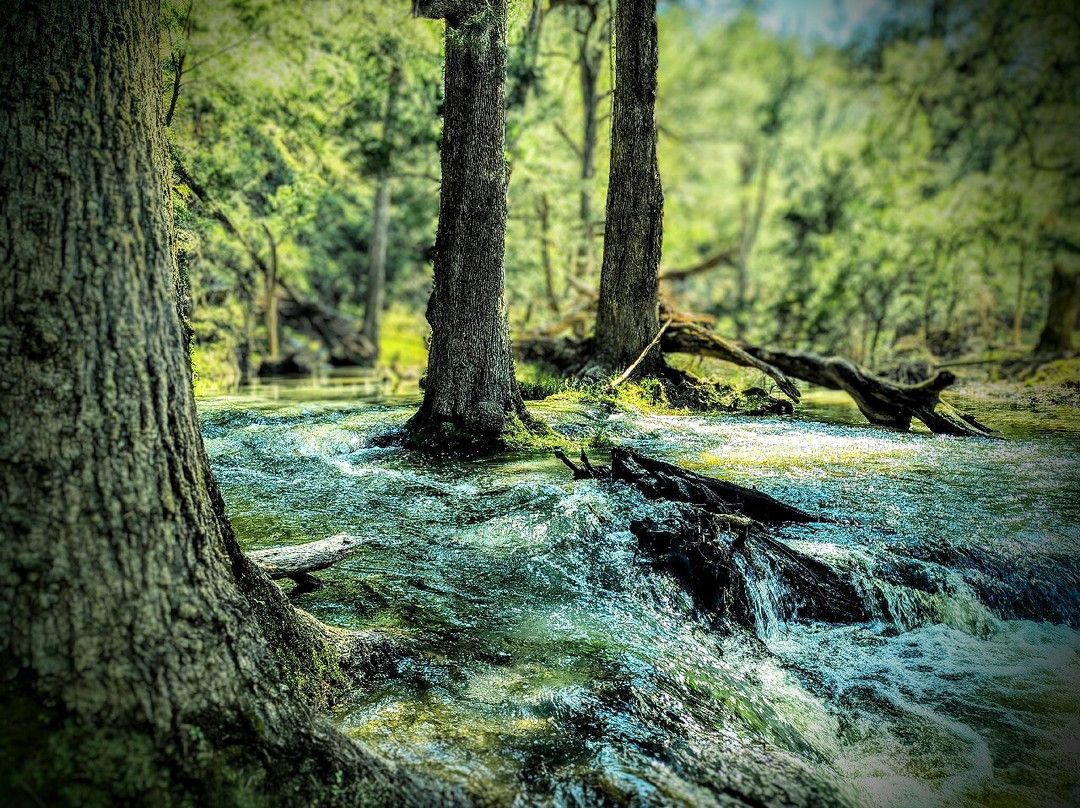 Abercrombie River National Park景点图片