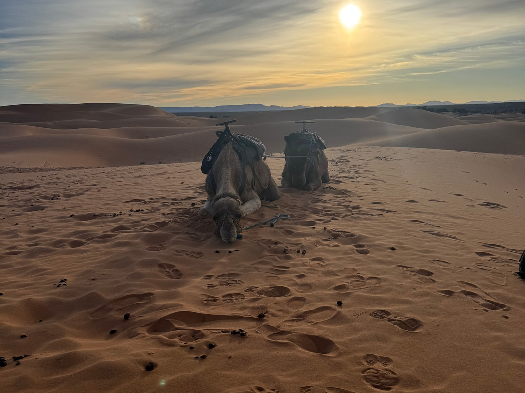 Riad Cafe Du Sud主图