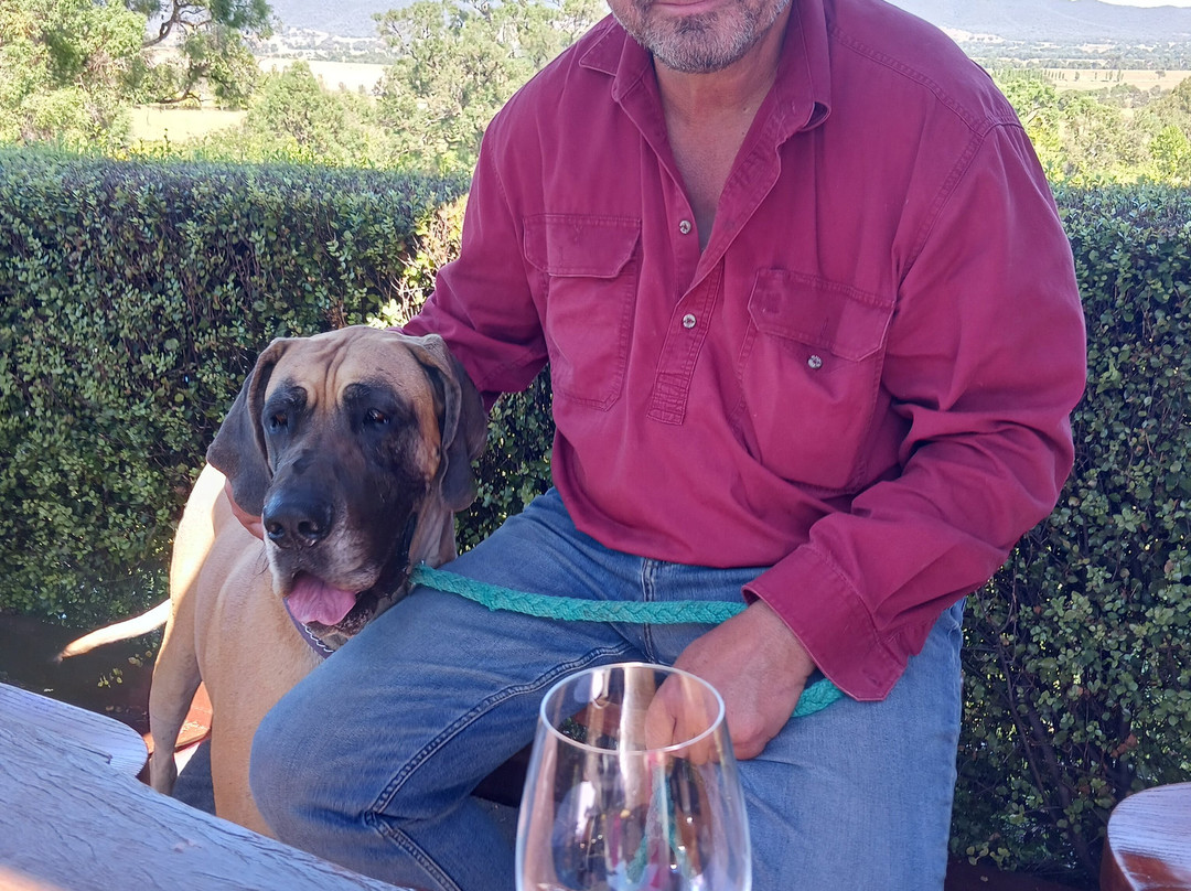 First Ridge Wines-马奇必去景点