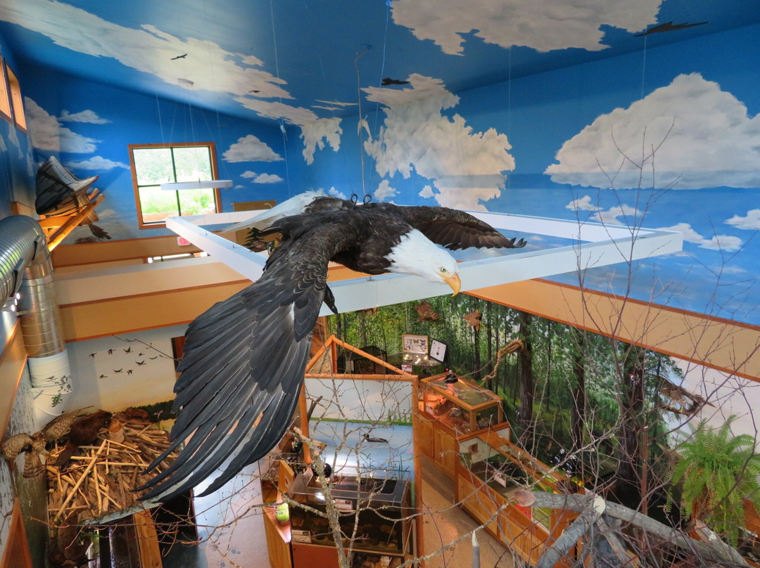 North Lakeland Discovery Center景点图片