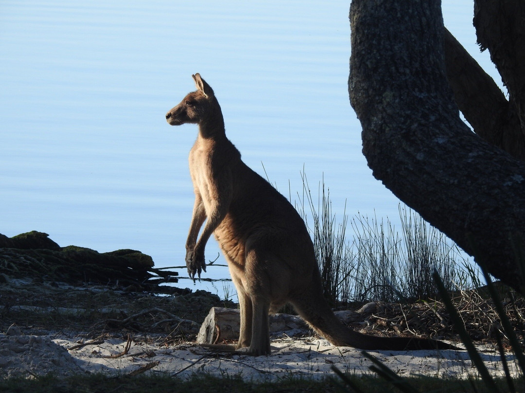 迈奥尔海岸自然度假村主图