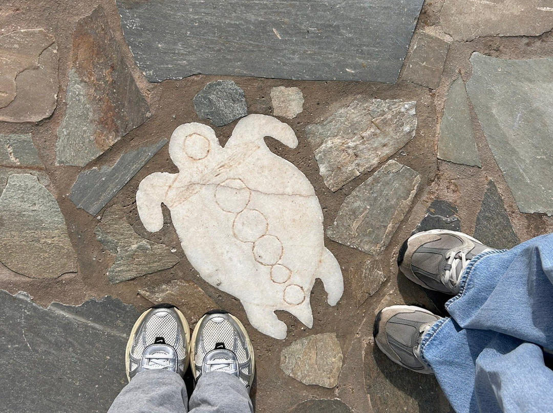 ARCHELON Τhe Sea Turtle Protection Society of Greece-吉利法达必去景点