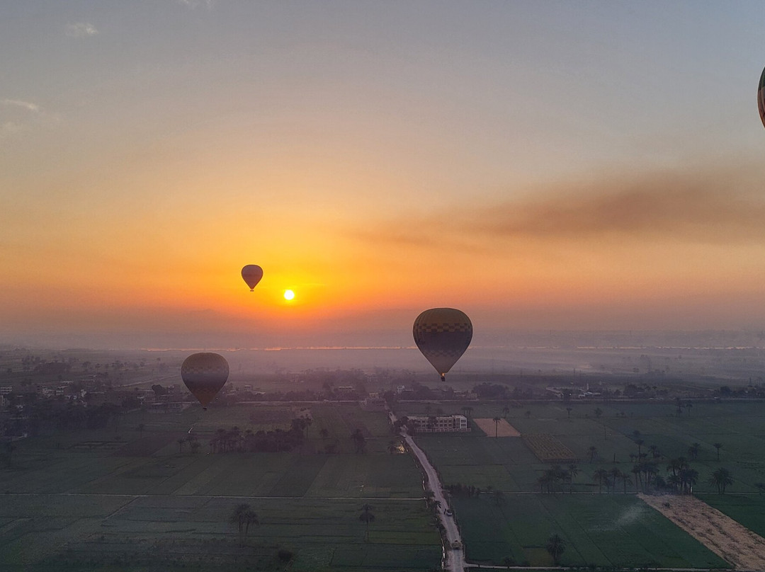 King Tut Hot Air Balloons-卢克索必去景点