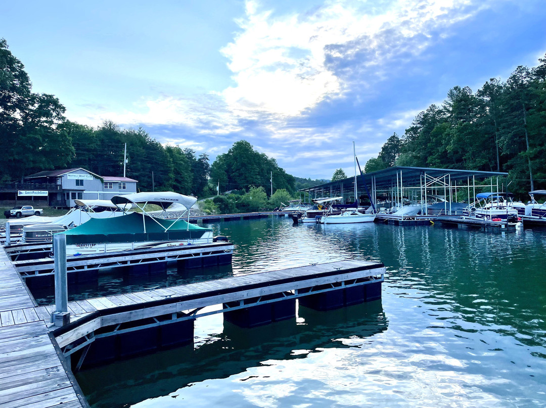 Nottely Boat Club & Marina景点图片