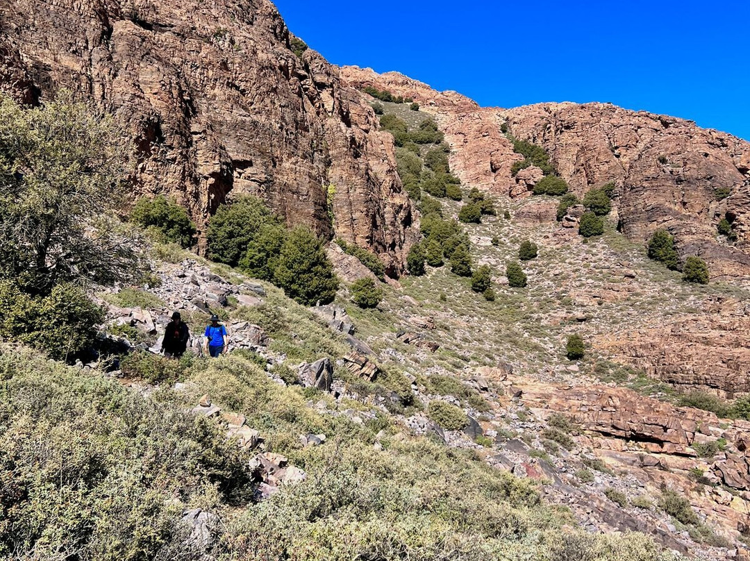 Hotel L'Arganier D'Ammelne主图